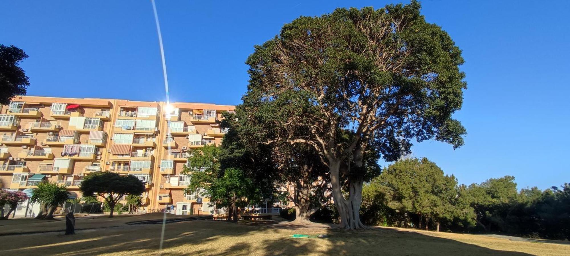 Apartamento Aguila, Arroyo De La Miel, بينالماذينا المظهر الخارجي الصورة